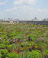 Environmental Sustainability Services